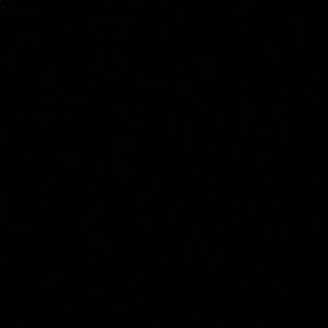 Meet your Posher, Chandrika